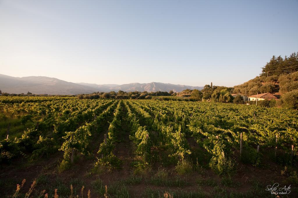 L'Antica Vigna Villa Randazzo Eksteriør billede